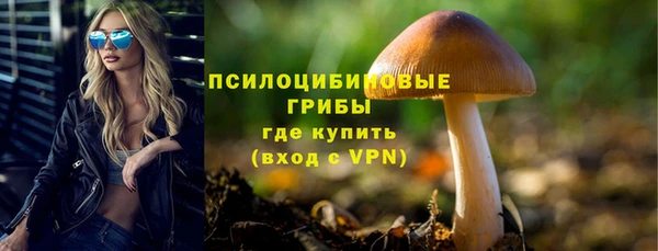 гашик Белокуриха