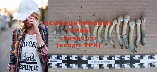 прущие крисы Беломорск