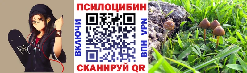 kraken ССЫЛКА  Железногорск-Илимский  Галлюциногенные грибы Cubensis  наркошоп 