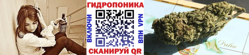 МАРИХУАНА MAZAR  как найти закладки  Железногорск-Илимский 